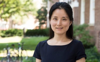 Air Force Young Investigator Award