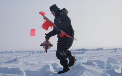 Arctic Sea Ice