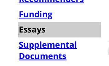 APG Essays